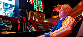 Зеркало Spin Bounty Casino